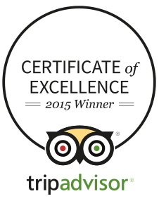 Certificate of Excellence Award 2015