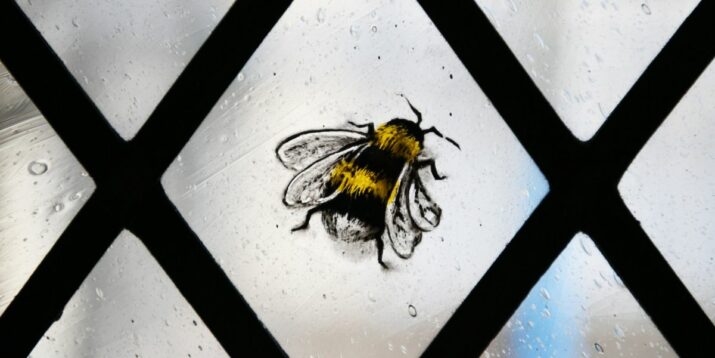 TALK: Sweetness and Light: Bees, Wax, and Honey – an historical view – Tuesday 14 June 2022